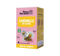 Camomille en Fleurs