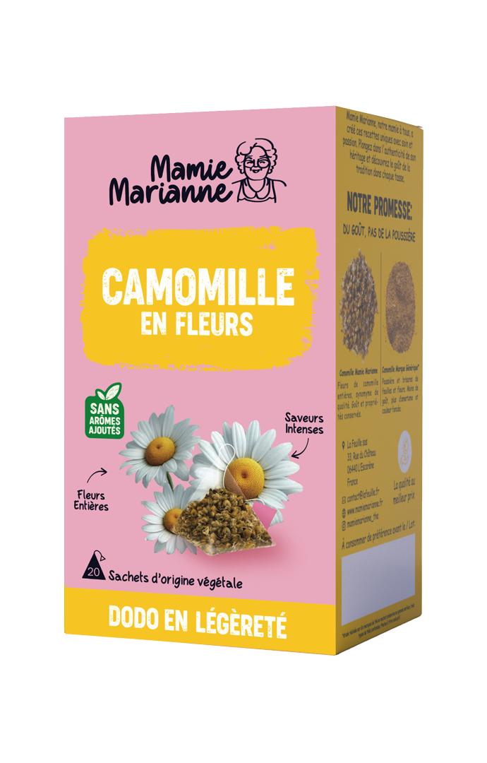 Camomille en Fleurs